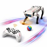 روبوت تفاعلي